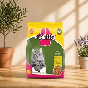Purr-fect Adult : Chicken And Egg