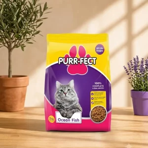 Purr-fect Adult : Ocean Fish